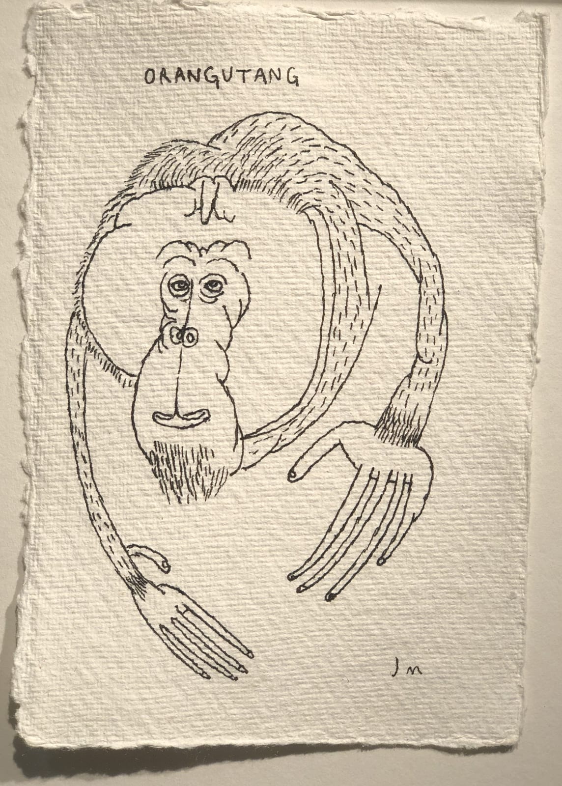 Jim Moir, Orangutan 2, 2018