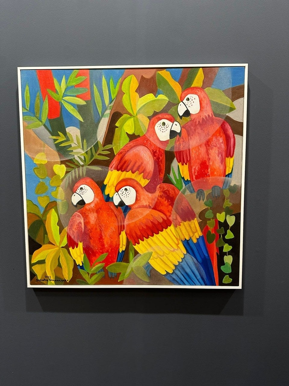 Senaka Senanayake, Macaws, 2023