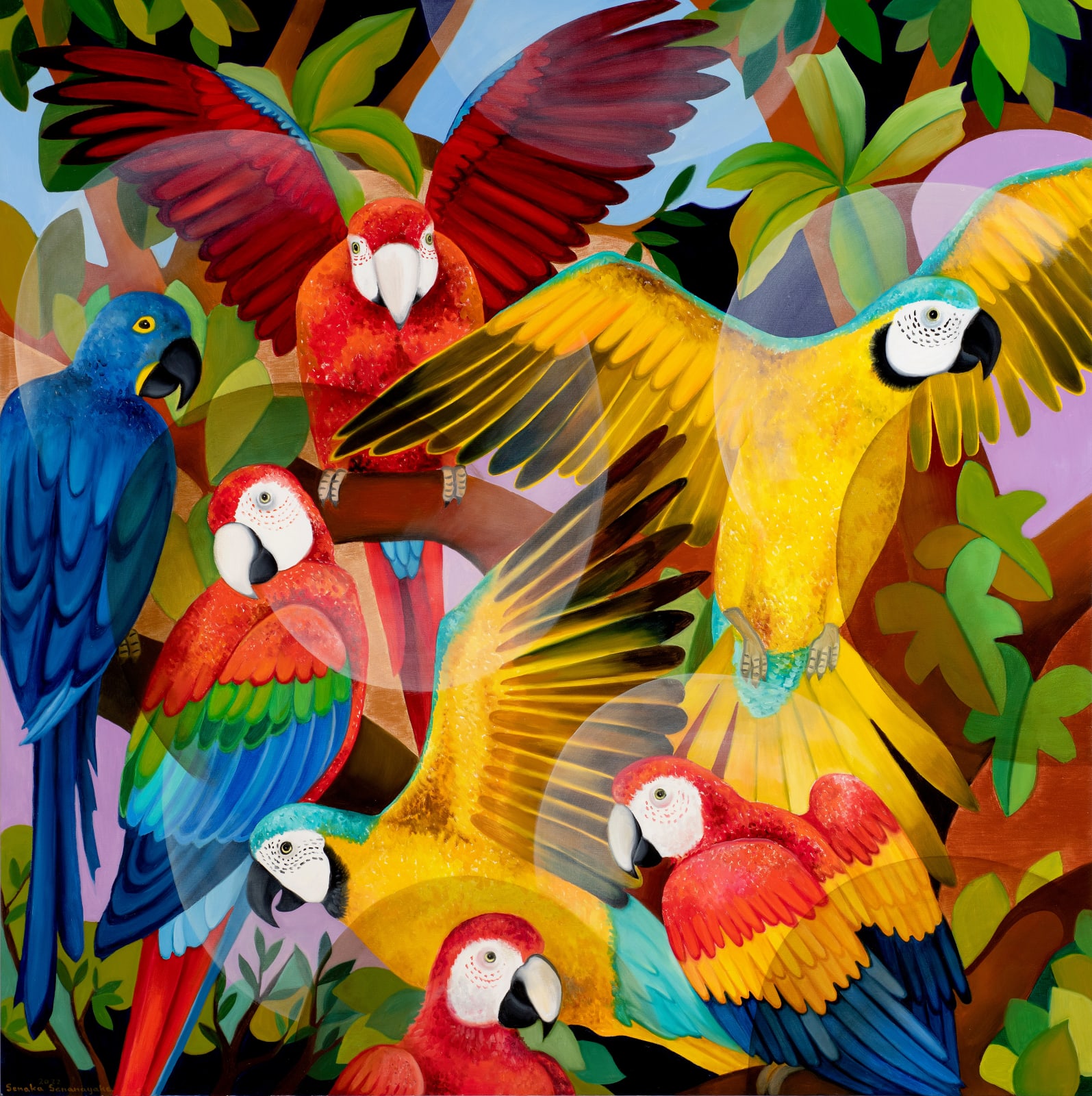 Senaka Senanayake, Macaws, 2022
