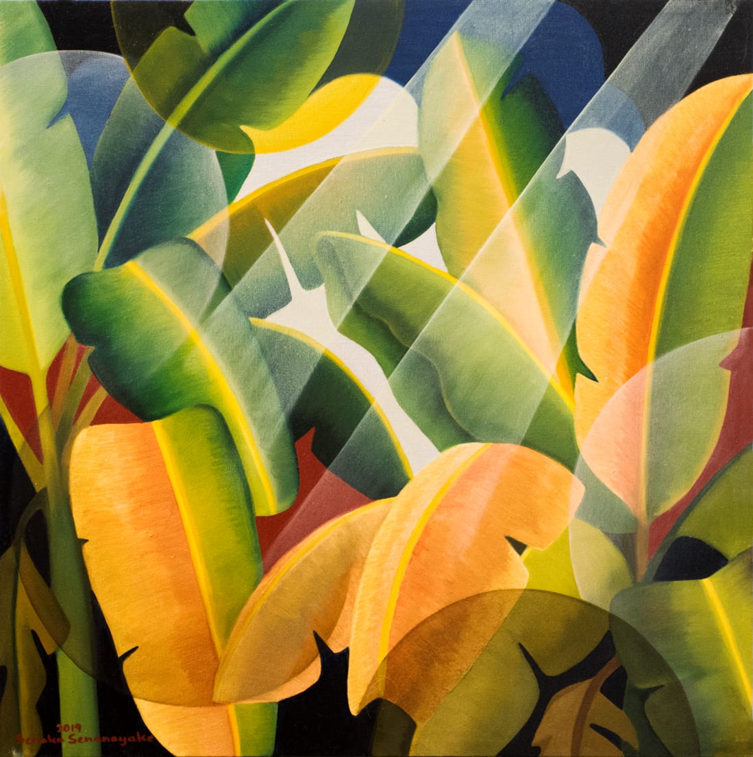 Senaka Senanayake, Banana Grove, 2019