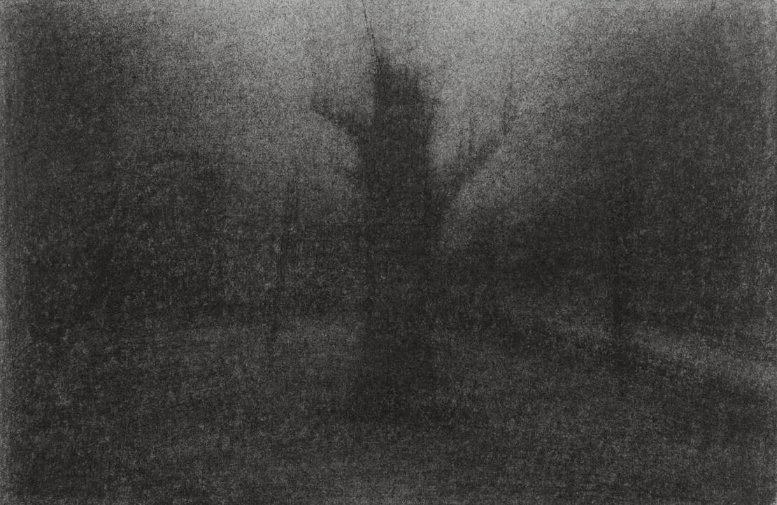 Mark Shields, Mist, 2019