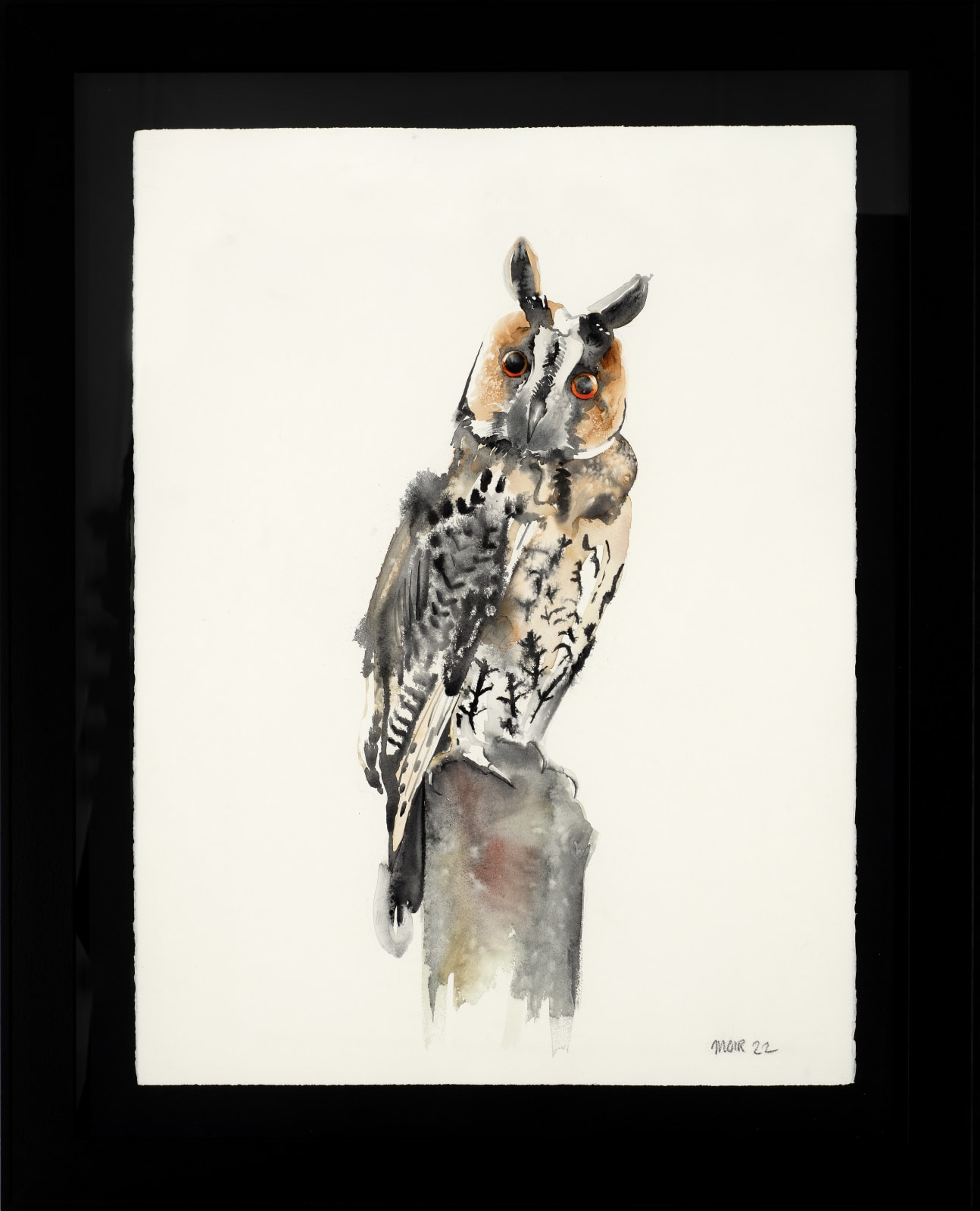 Jim Moir, Long Eared Owl , 2022