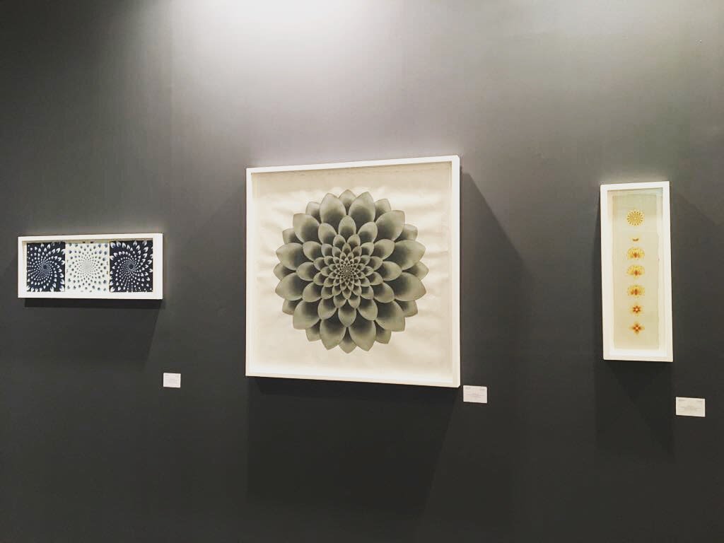 Olivia Fraser, Kalachakra, 2016