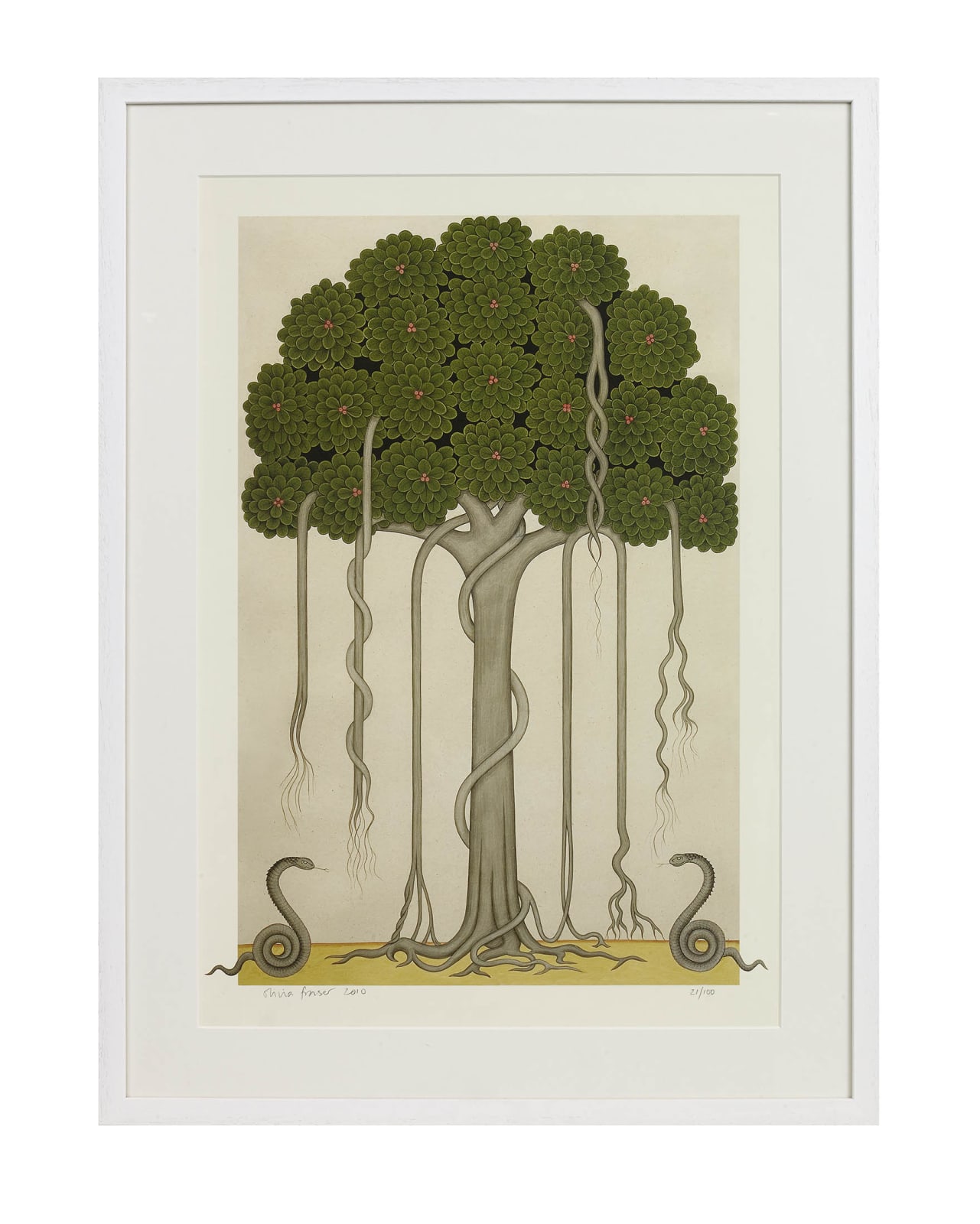 Olivia Fraser, Banyan Tree, 2010