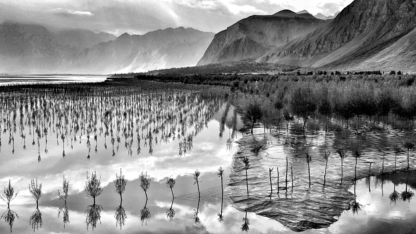 William Dalrymple, Skardu Paddy, 2021