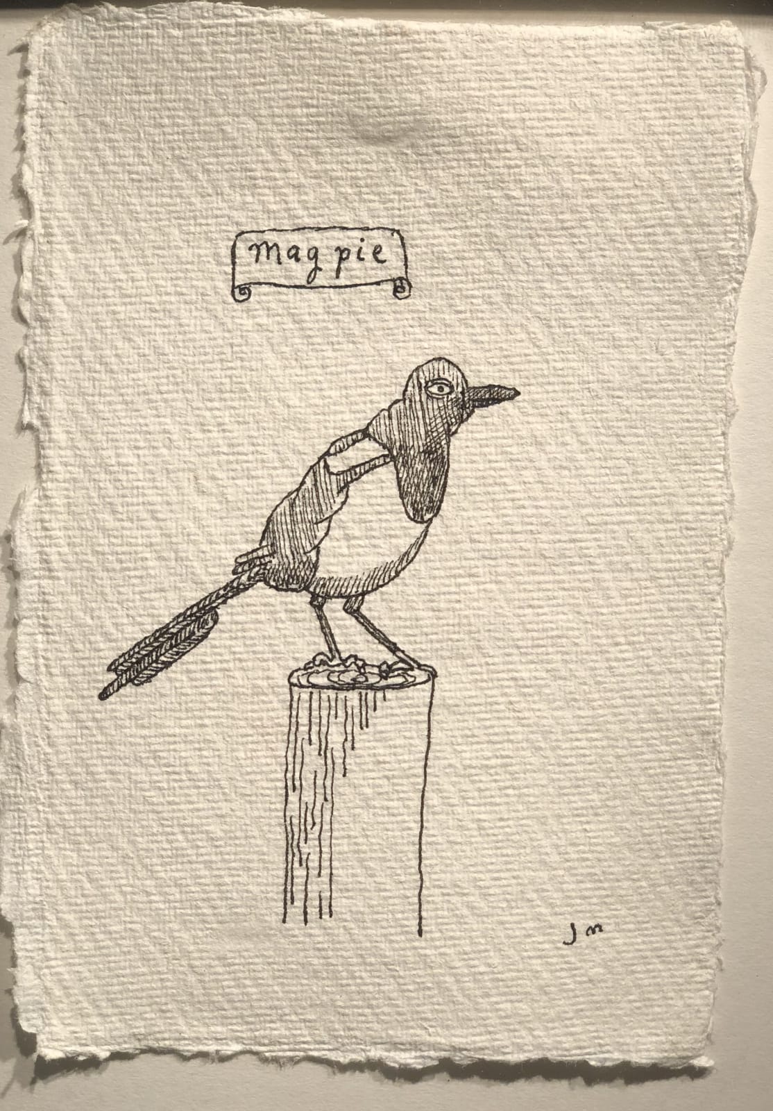 Jim Moir, Magpie, 2018