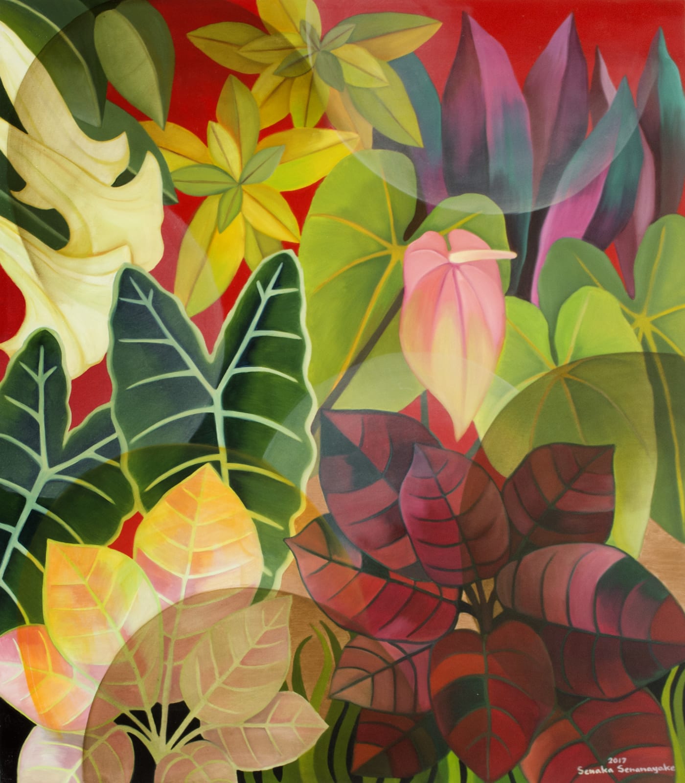 Senaka Senanayake, Fluorescence, 2017