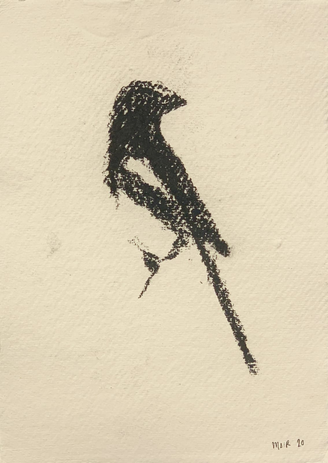 Jim Moir, Magpie 4, 2019
