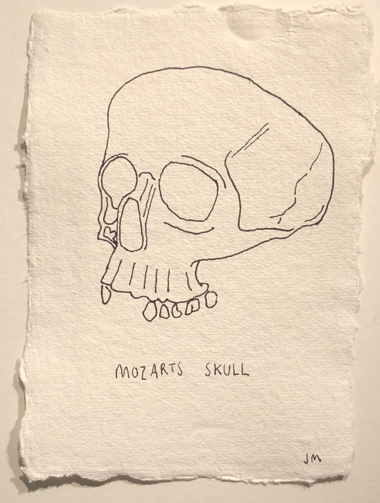Jim Moir, Skull of Mozart, 2018