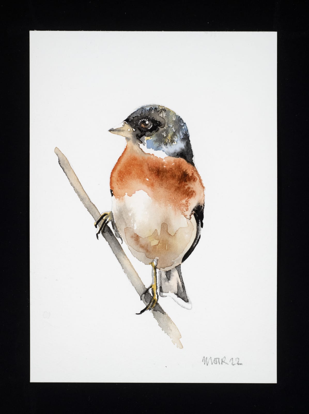 Jim Moir, Brambling, 2022