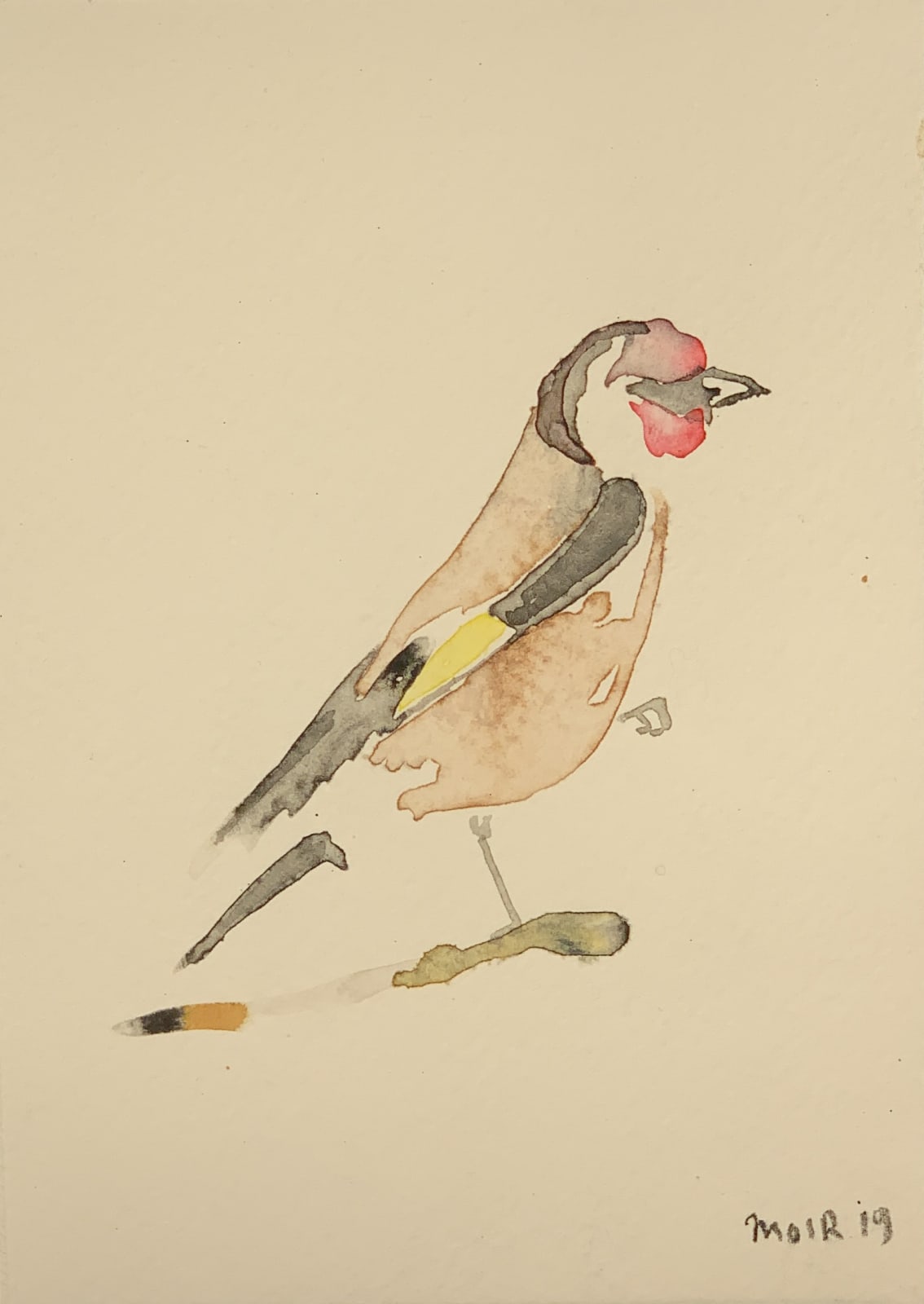 Jim Moir, Bird, 2019