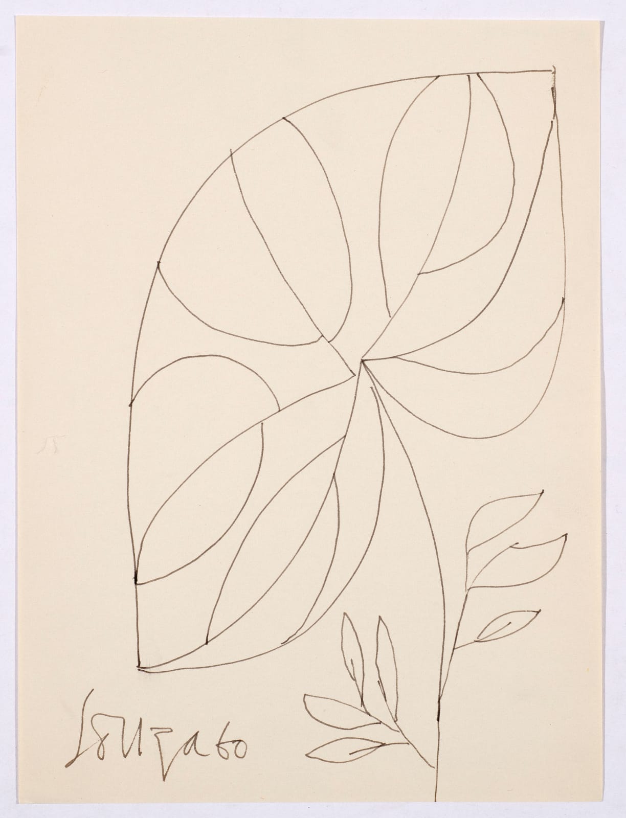 Francis Newton Souza, Untitled (Drawing of Flower with leaves) , 1960