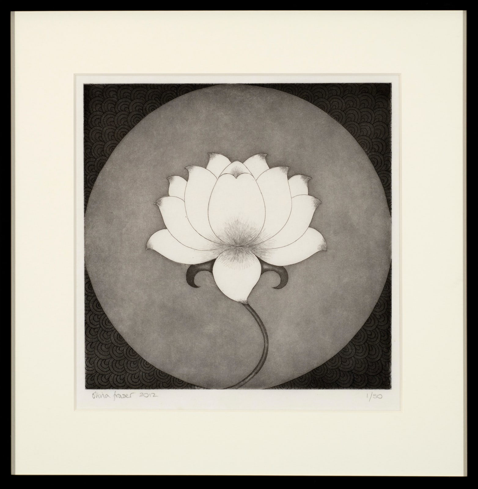 Olivia Fraser, Lotus, 2012