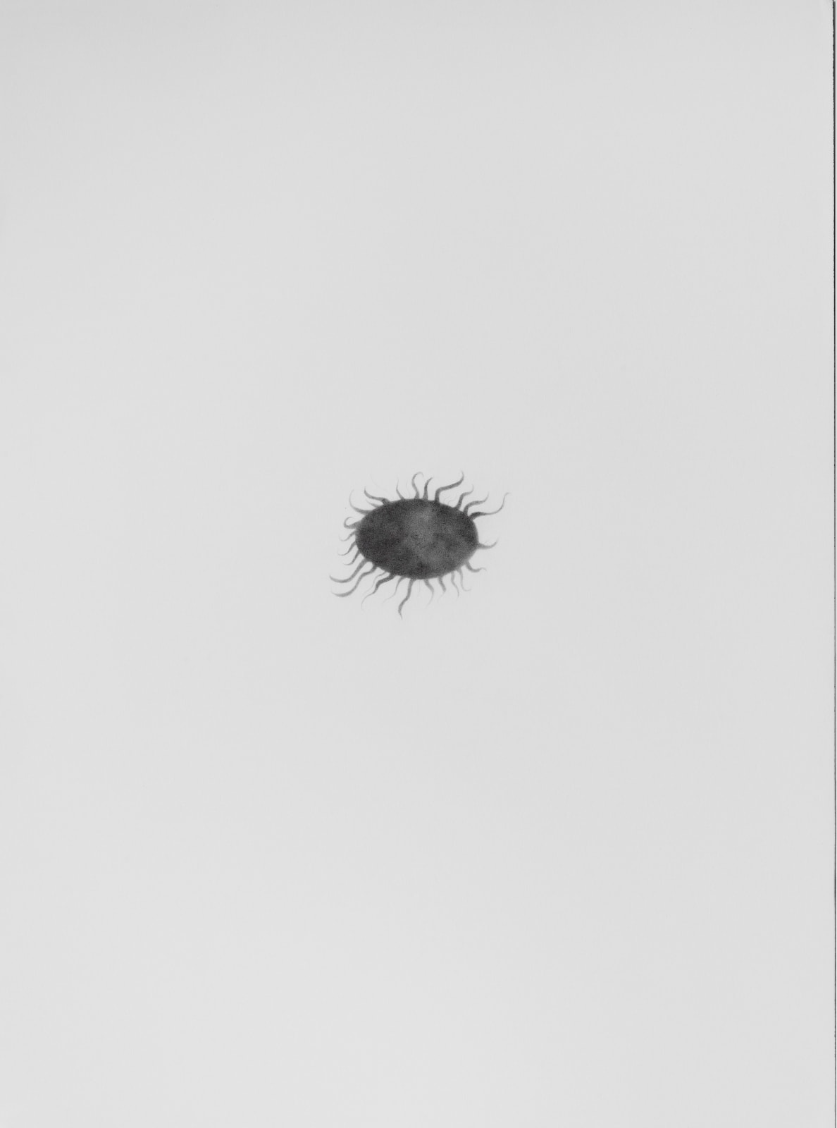 Wardha Shabbir, Kaali Aag/ Black Fire -(A), 2022