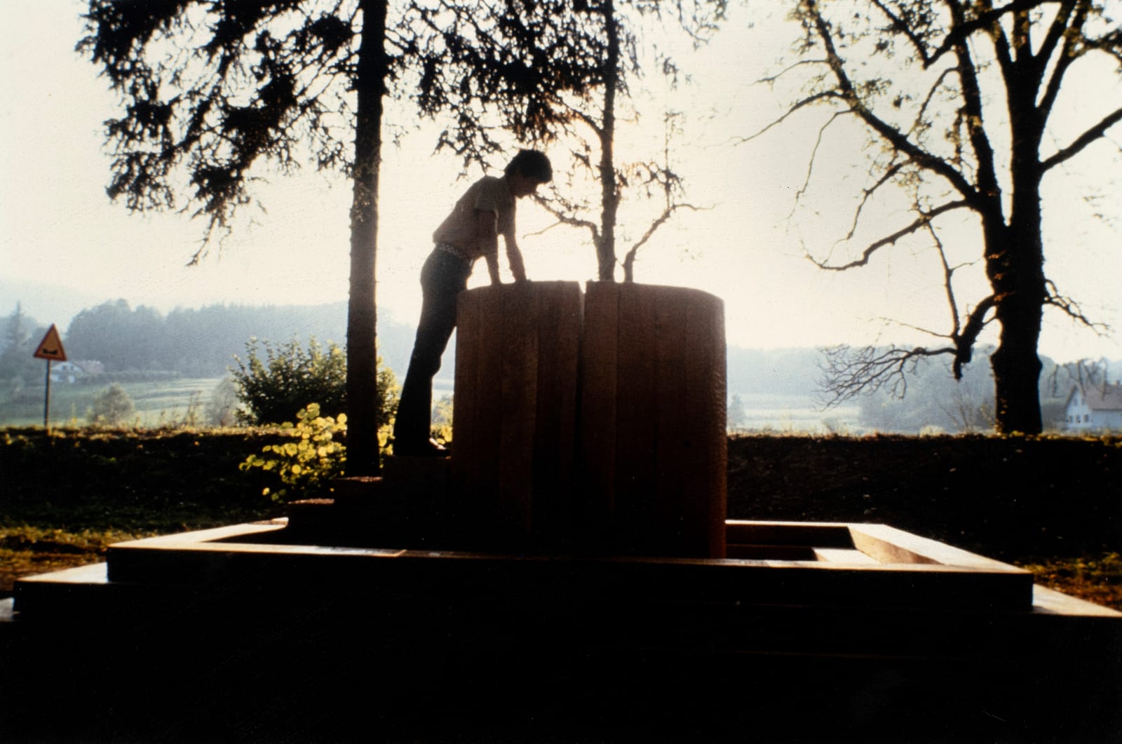 Avtarjeet Dhanjal, Wayside Well Yugoslavia (1982)