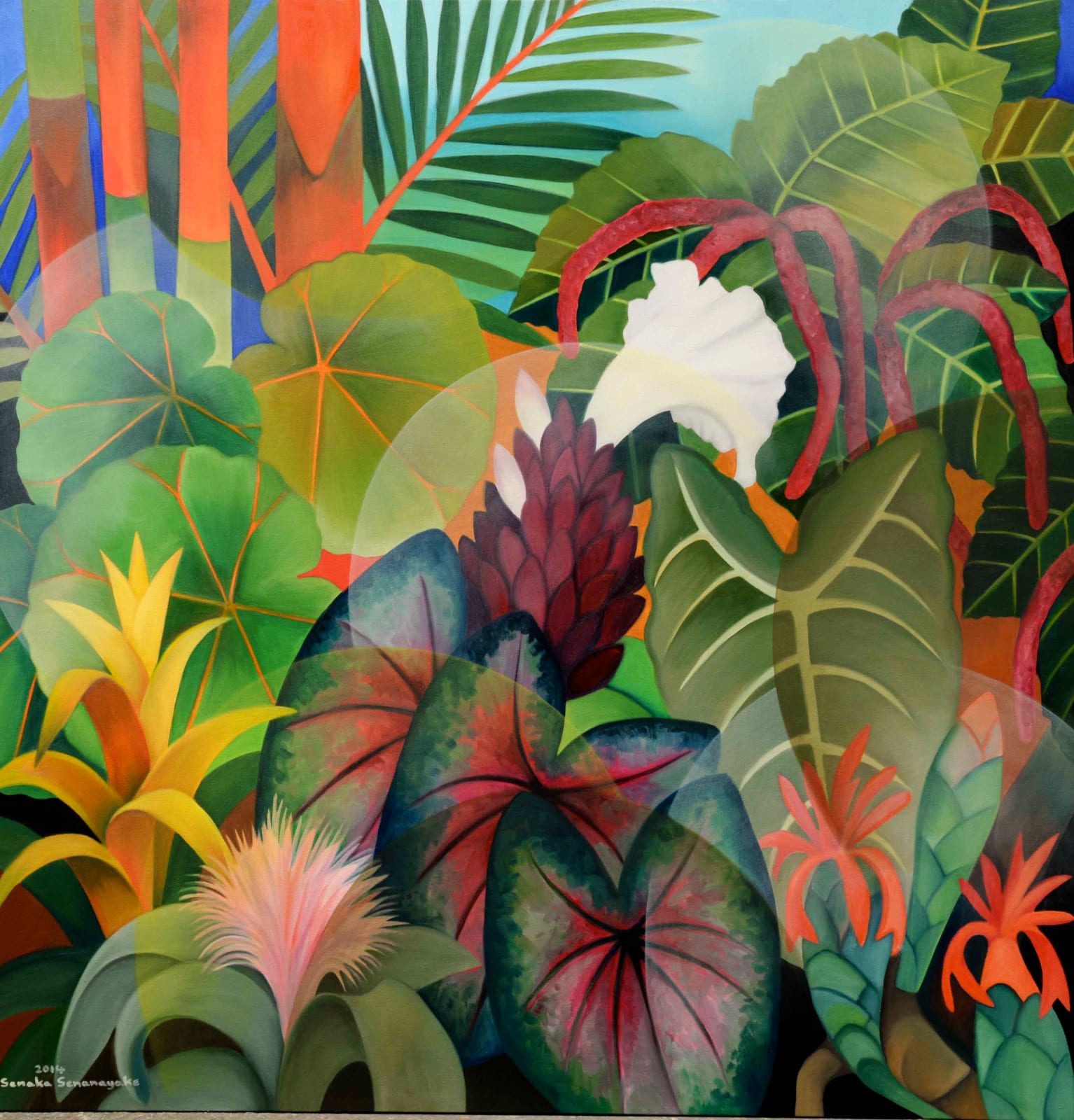 Senaka Senanayake, Rainforest, 2014