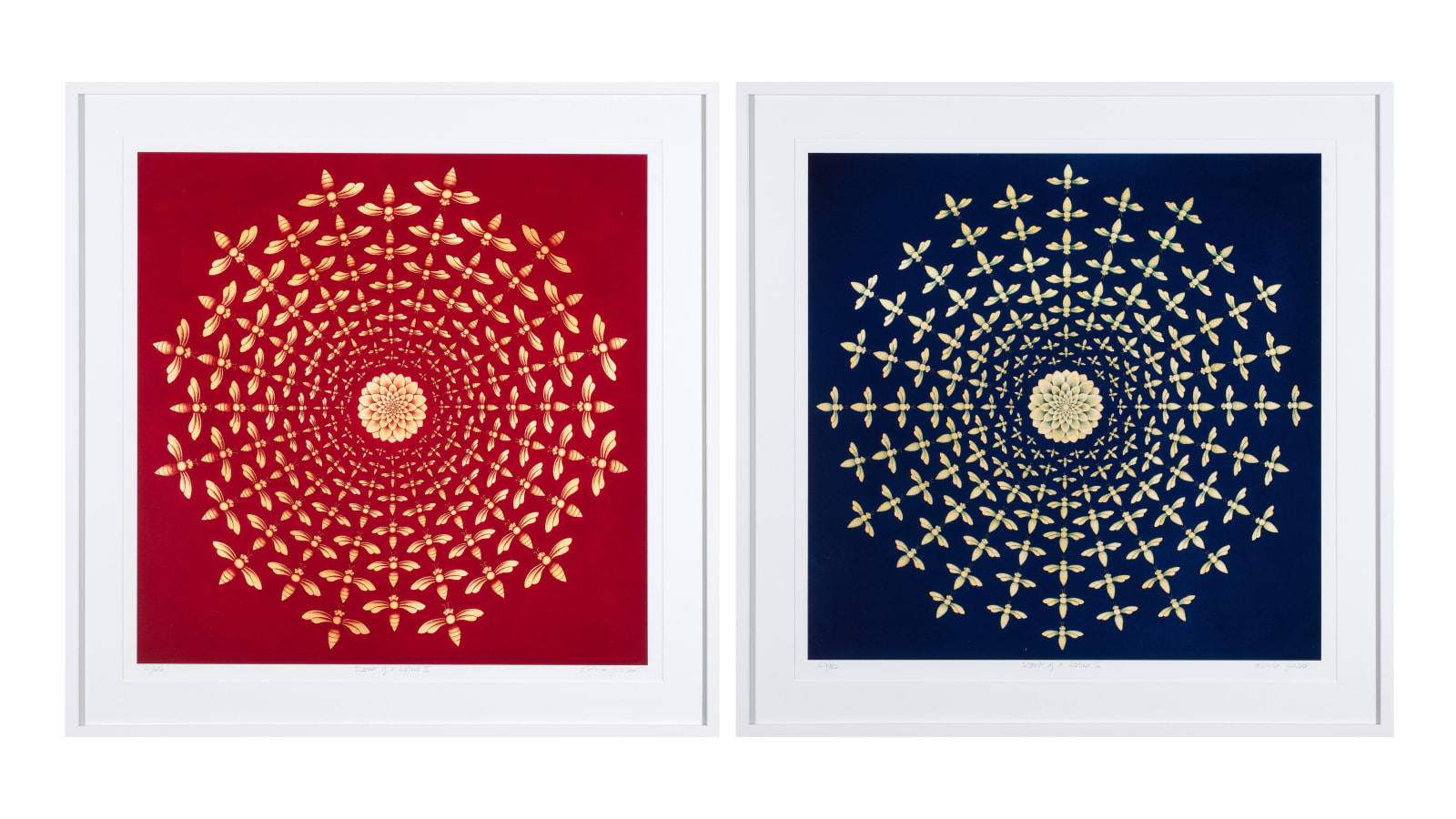 Olivia Fraser, Scent of a Lotus (Diptych), 2025