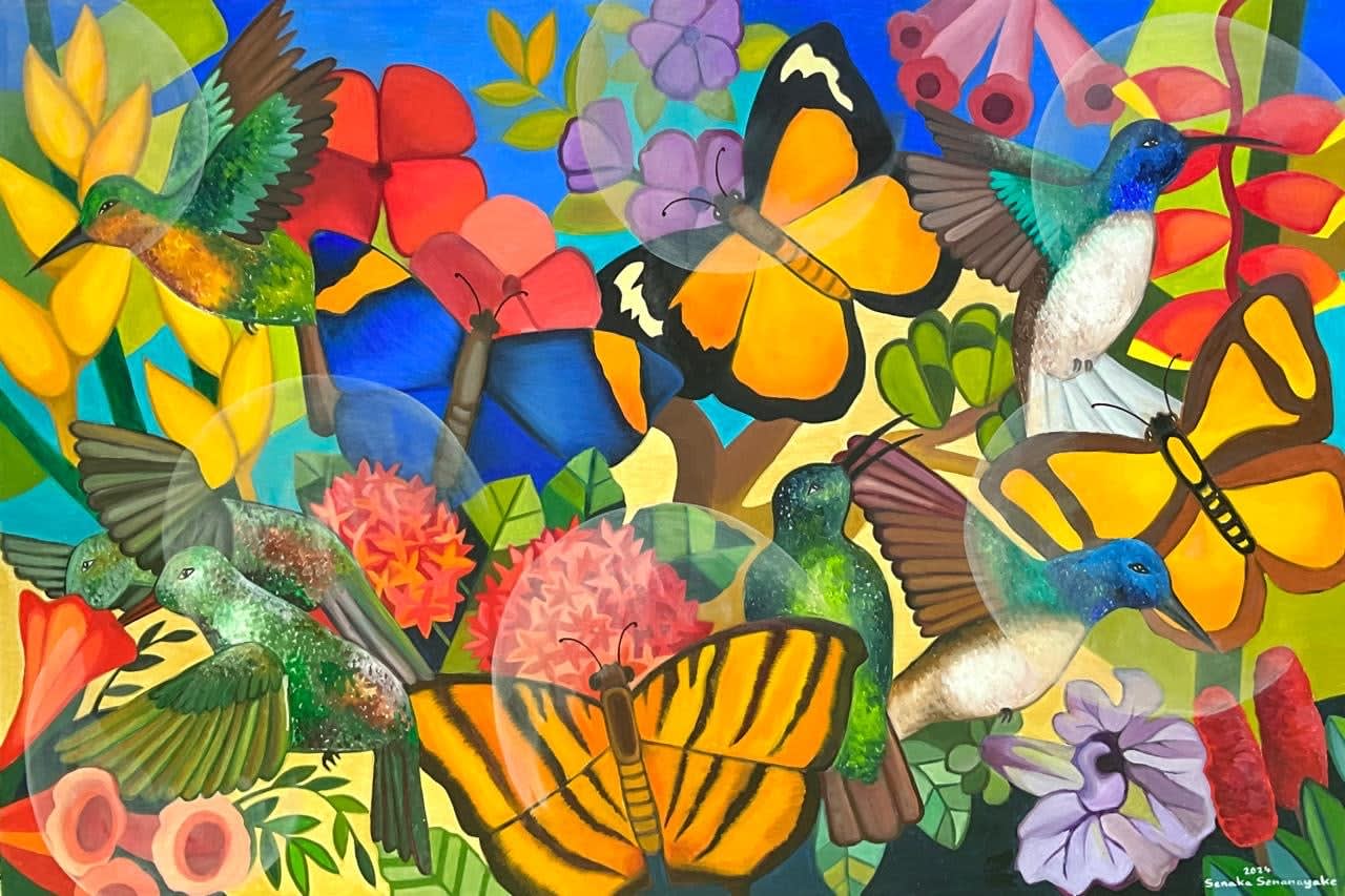 Senaka Senanayake, Butterflies , 2024