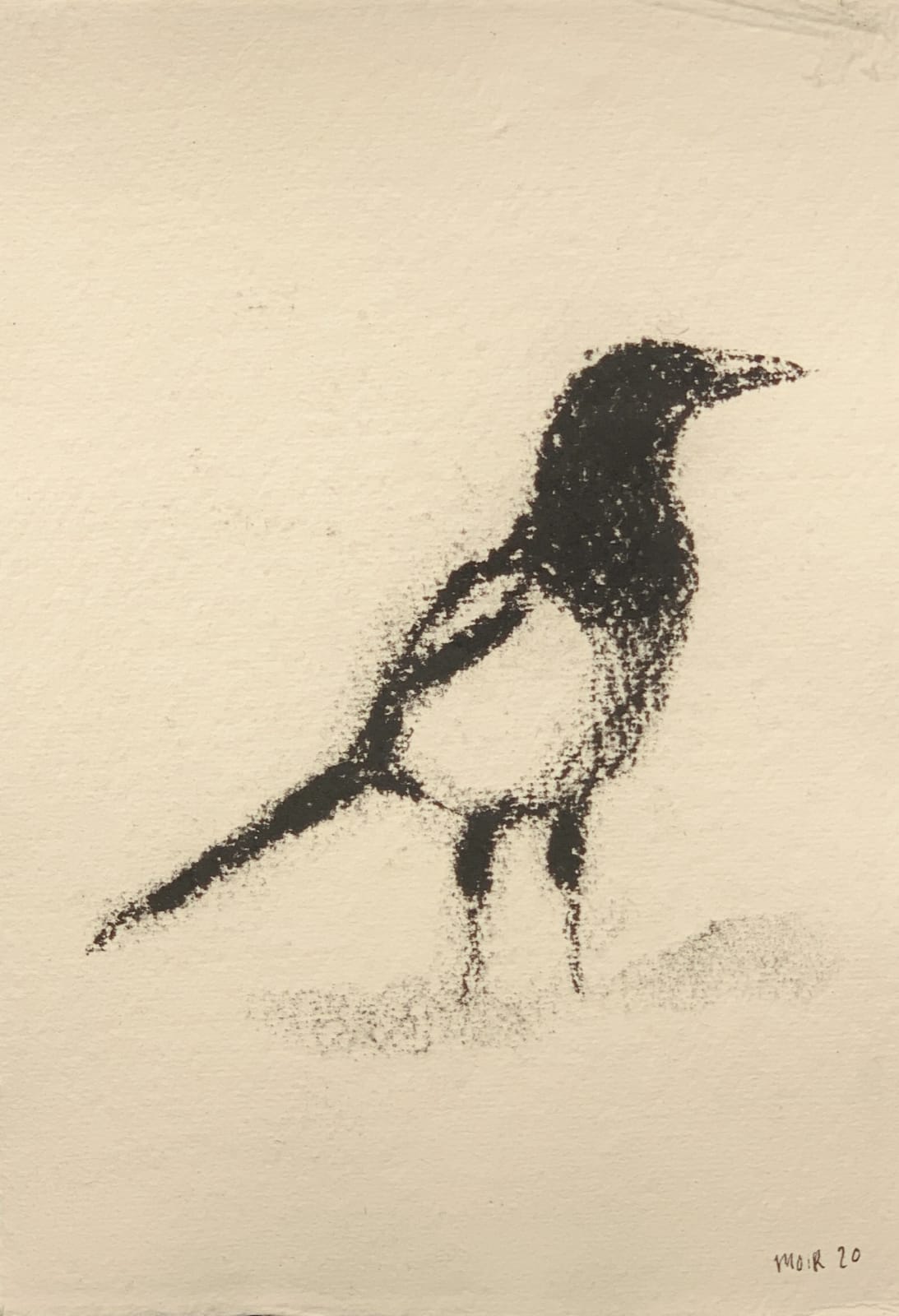Jim Moir, Magpie 3, 2019
