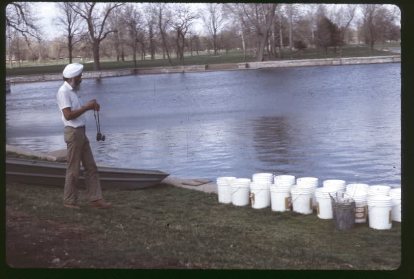 Avtarjeet Dhanjal, Fifteen Floating Flames (St. Louis, USA), 1985