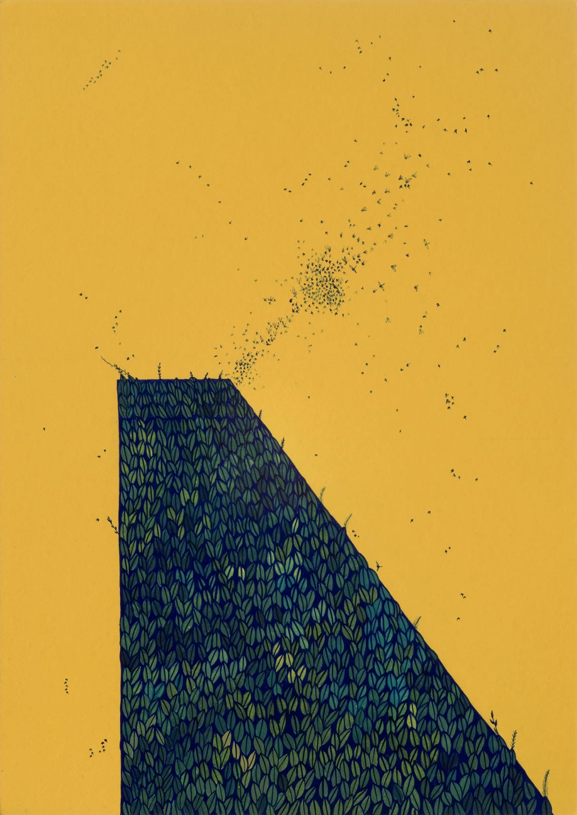 Wardha Shabbir, Territory, 2020