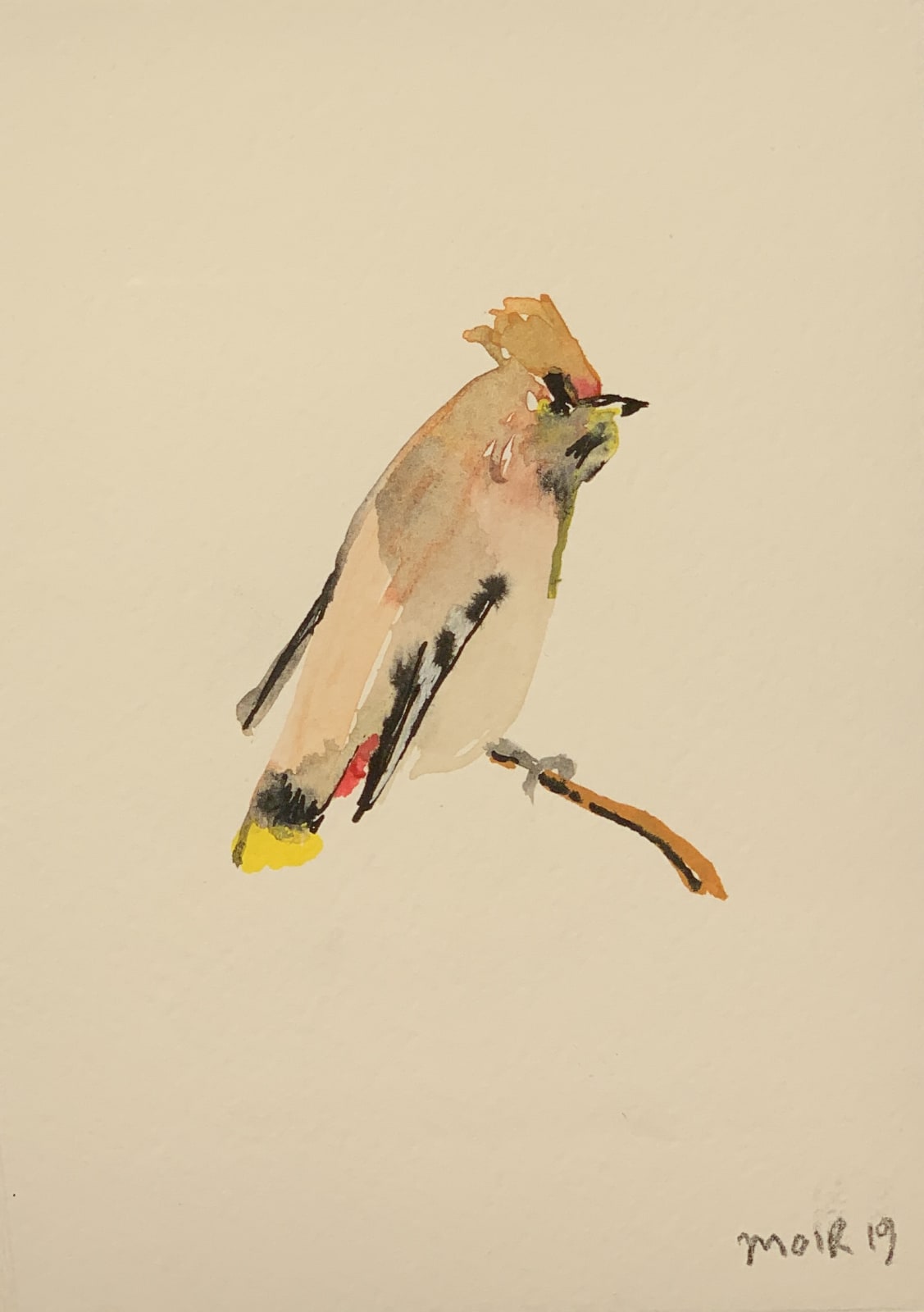 Jim Moir, Bird, 2019
