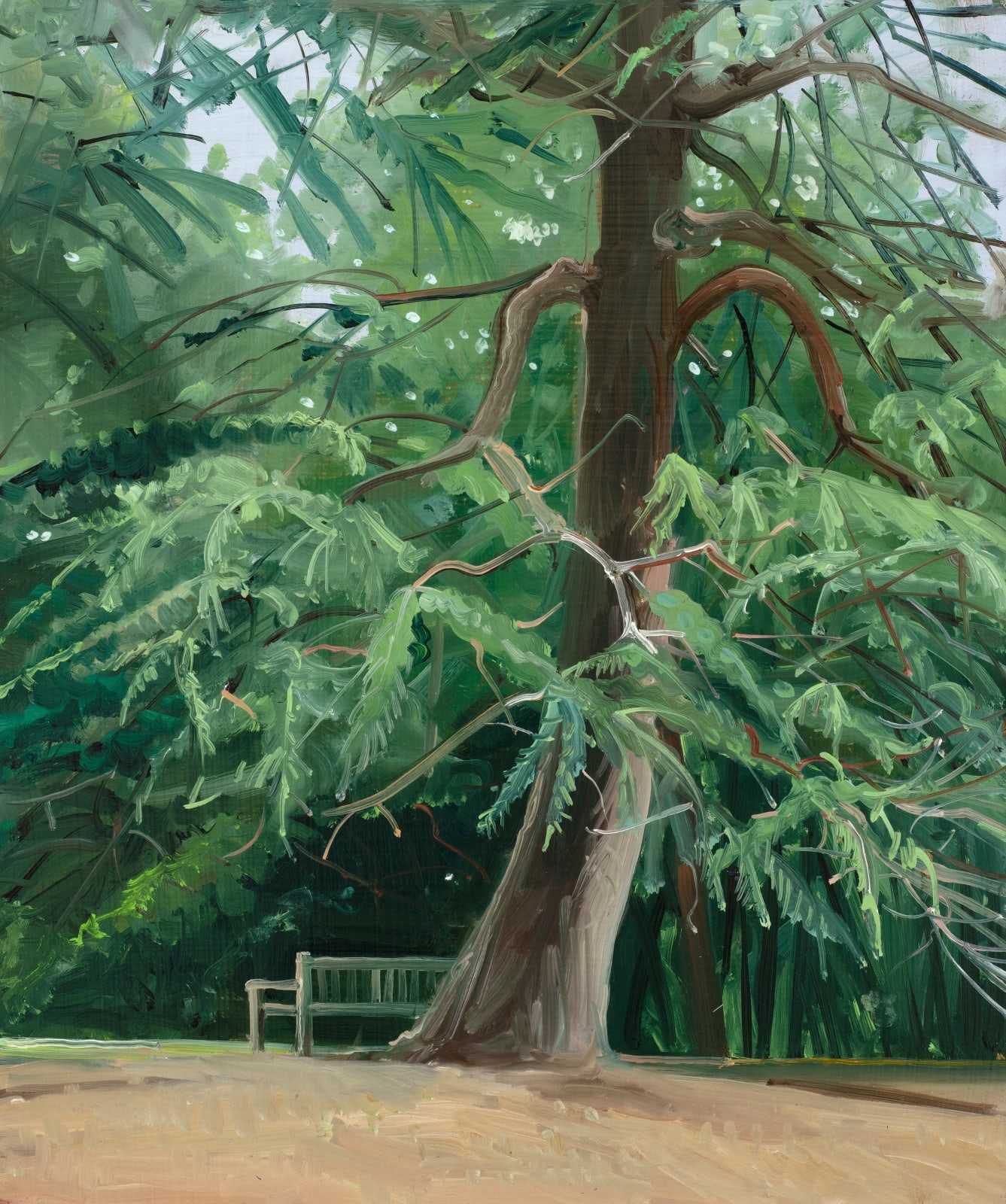 Shibu Natesan, Hampstead Heath, London, 2022