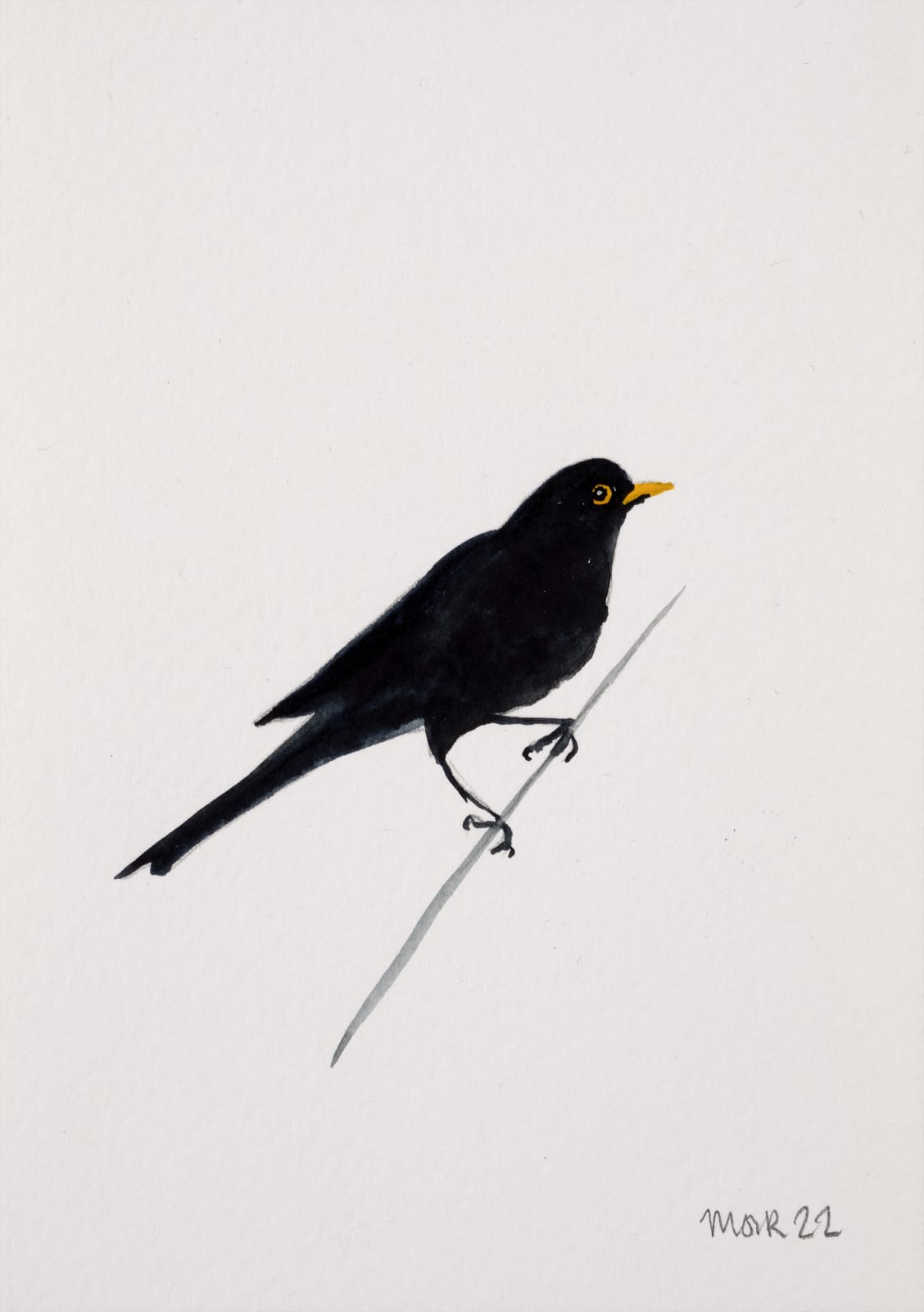 Jim Moir, Blackbird 6, 2022
