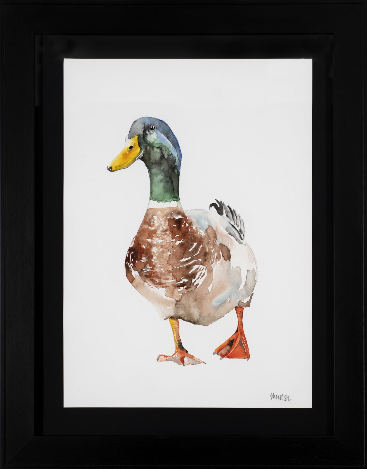 Jim Moir, Mallard, 2022