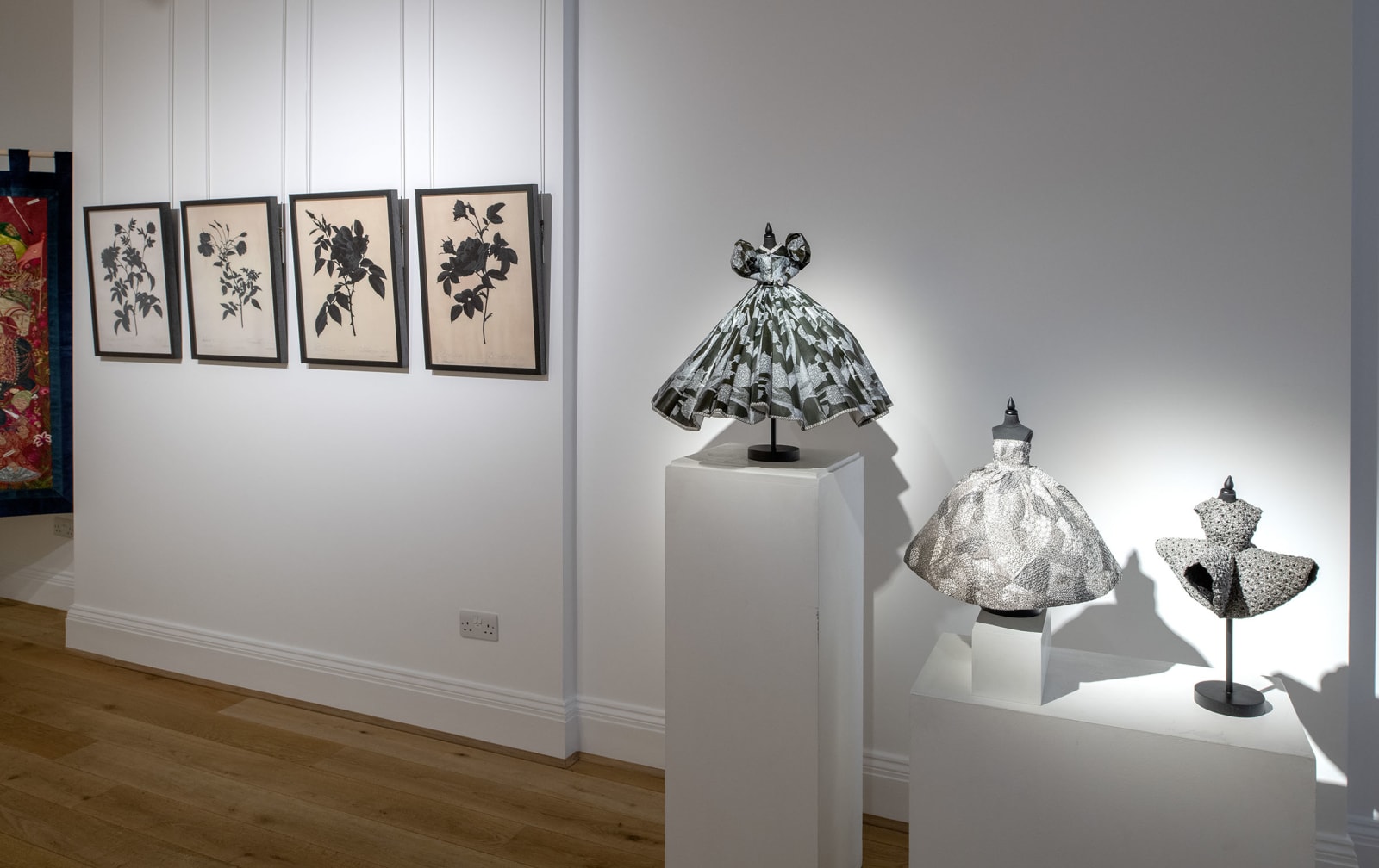 David Alesworth, Dark Rosa Inermis, 2021