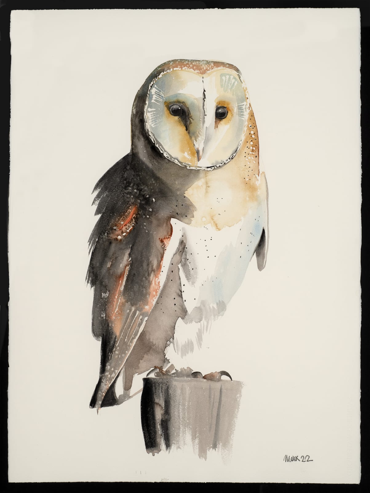 Jim Moir, Barn Owl, 2022