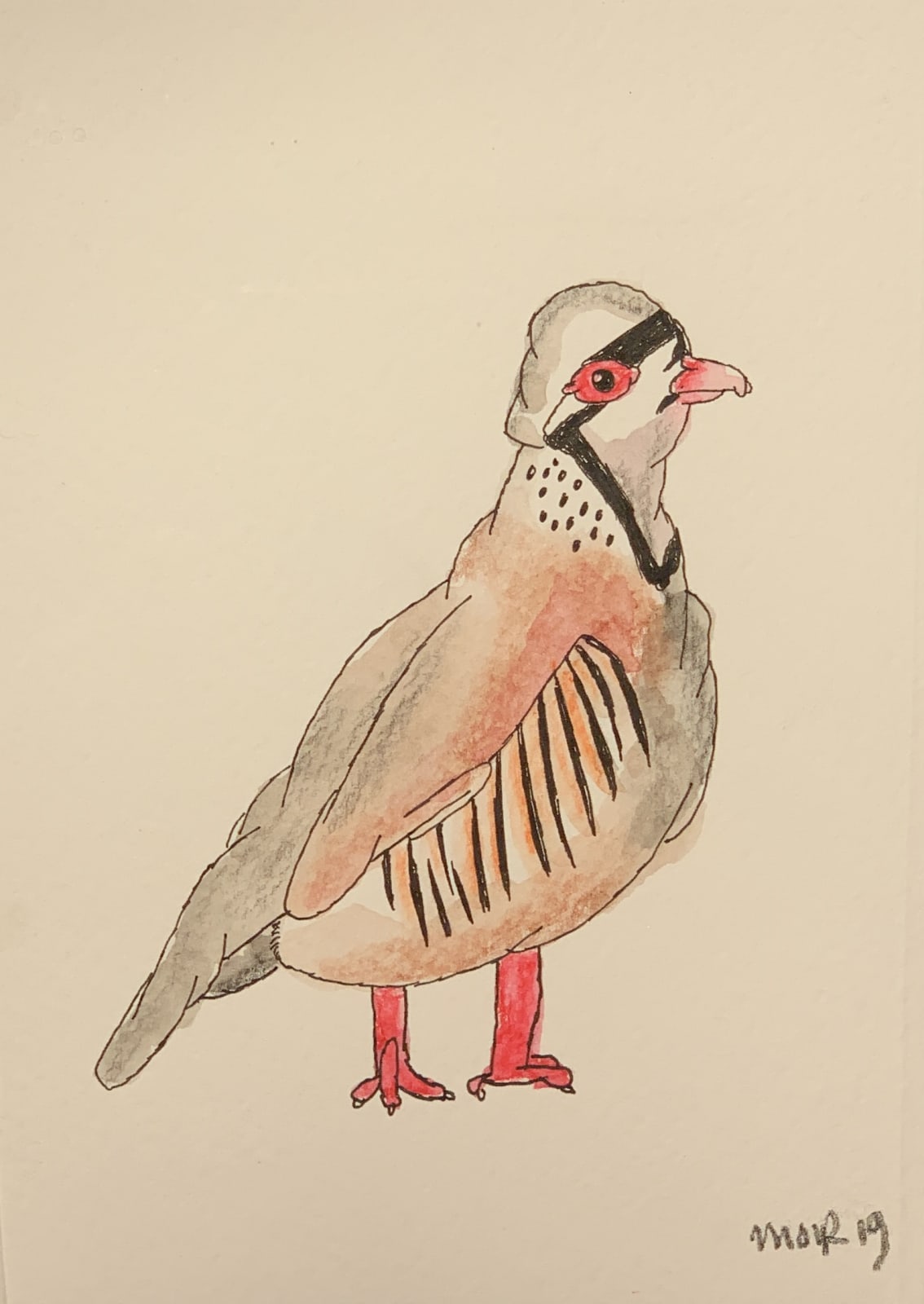 Jim Moir, Bird, 2019