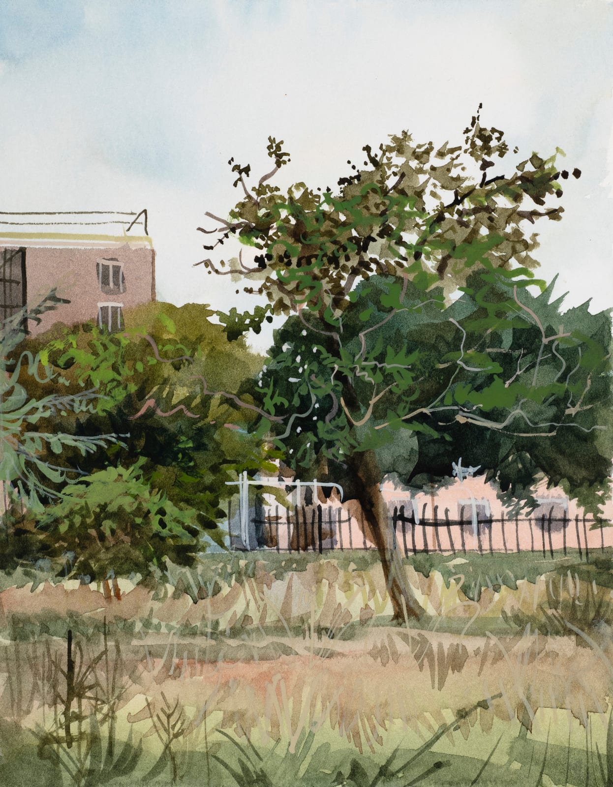 Shibu Natesan, Clissold Park, 2022