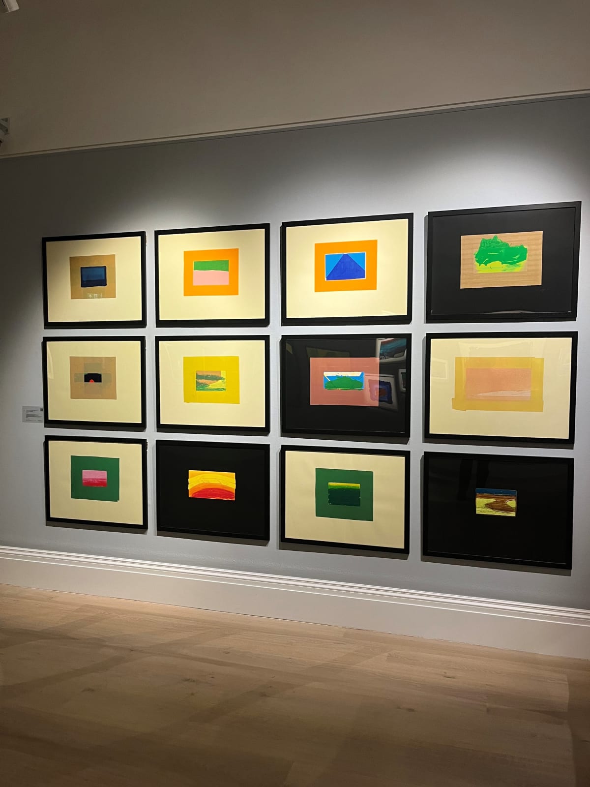 Howard Hodgkin, Indian Views, 1971