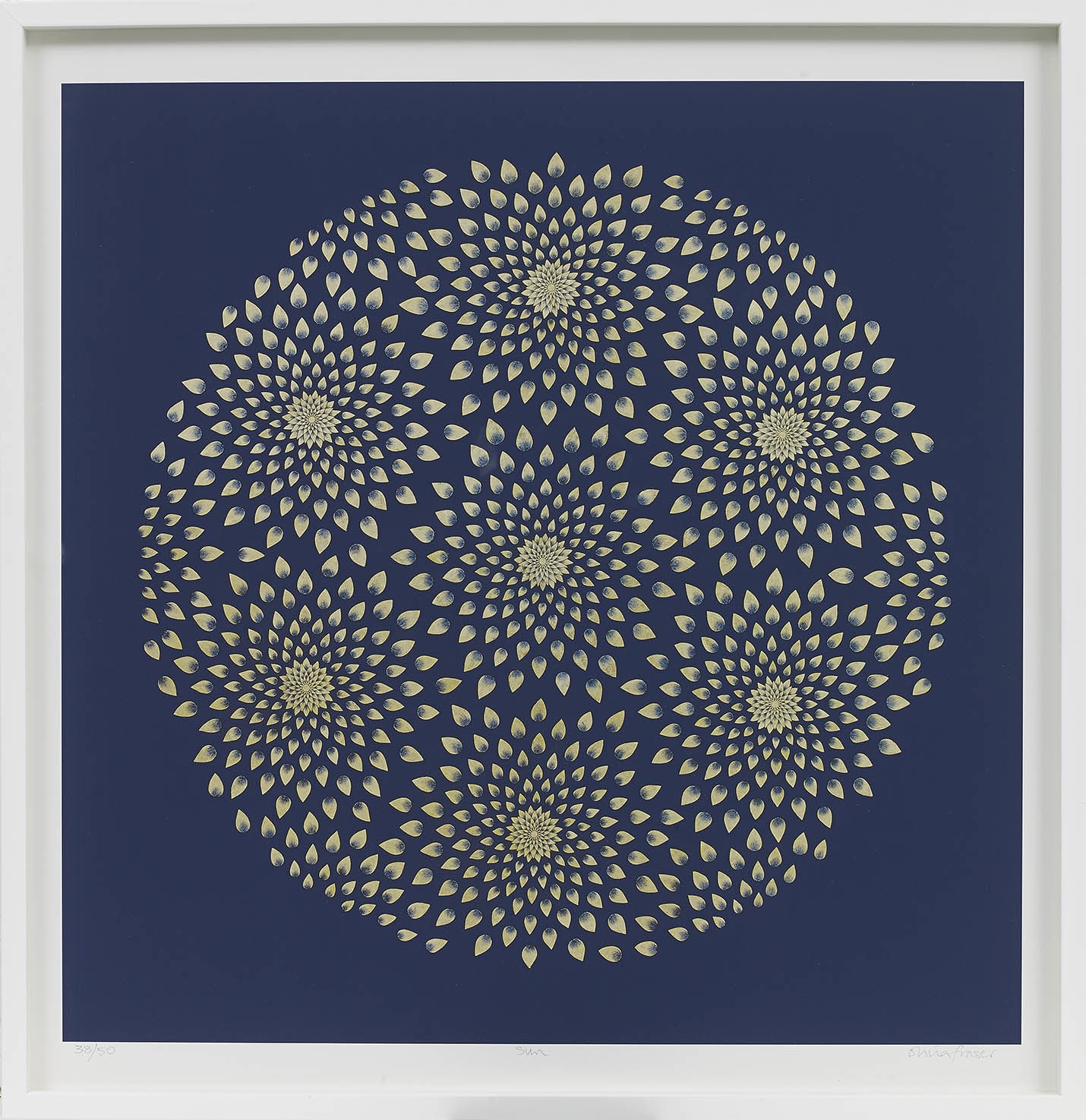 Olivia Fraser, Sun, 2013