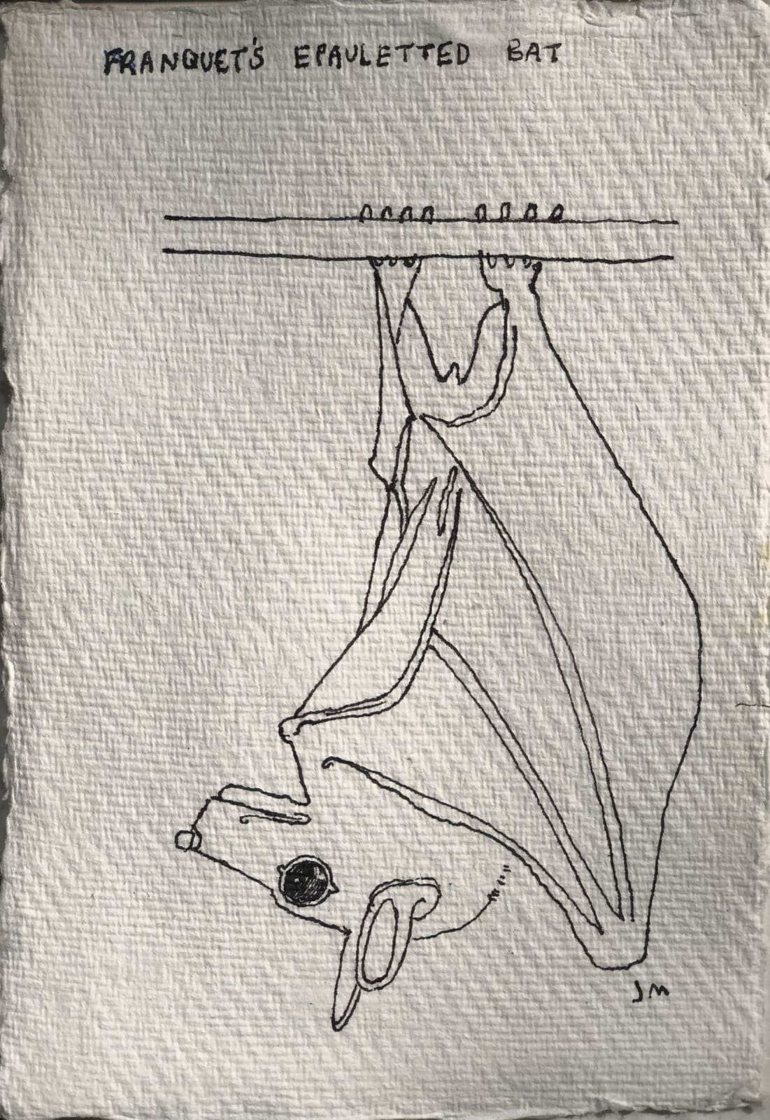 Jim Moir, Bat, 2018