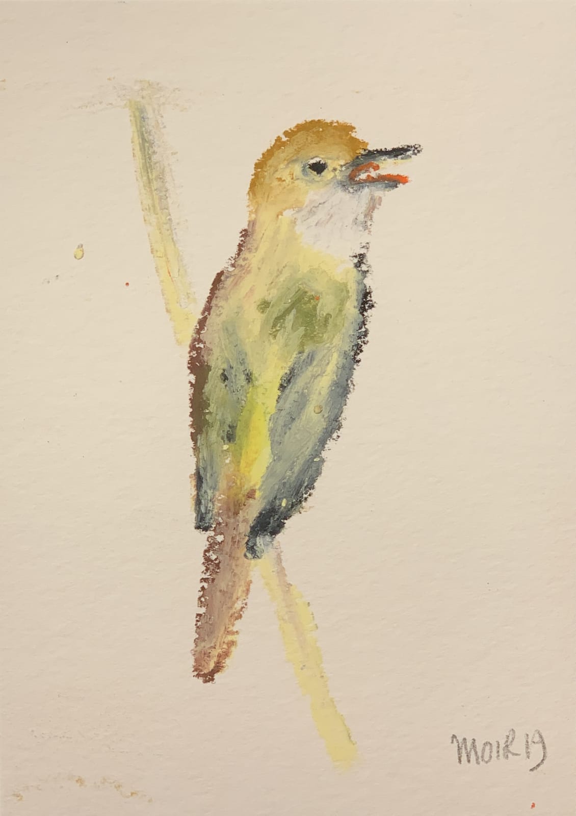 Jim Moir, Bird, 2019