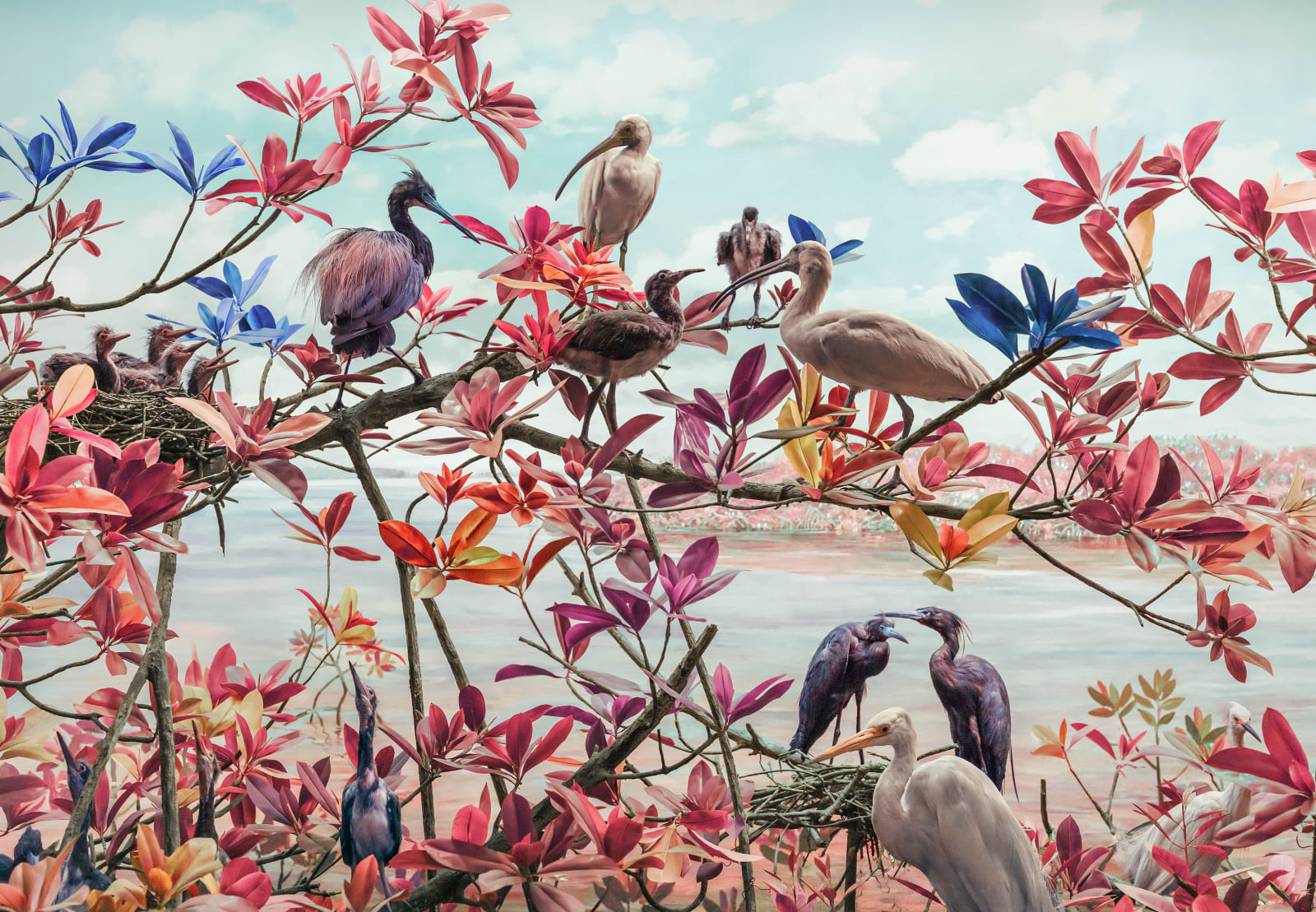 Jim Naughten, River Birds, 2021