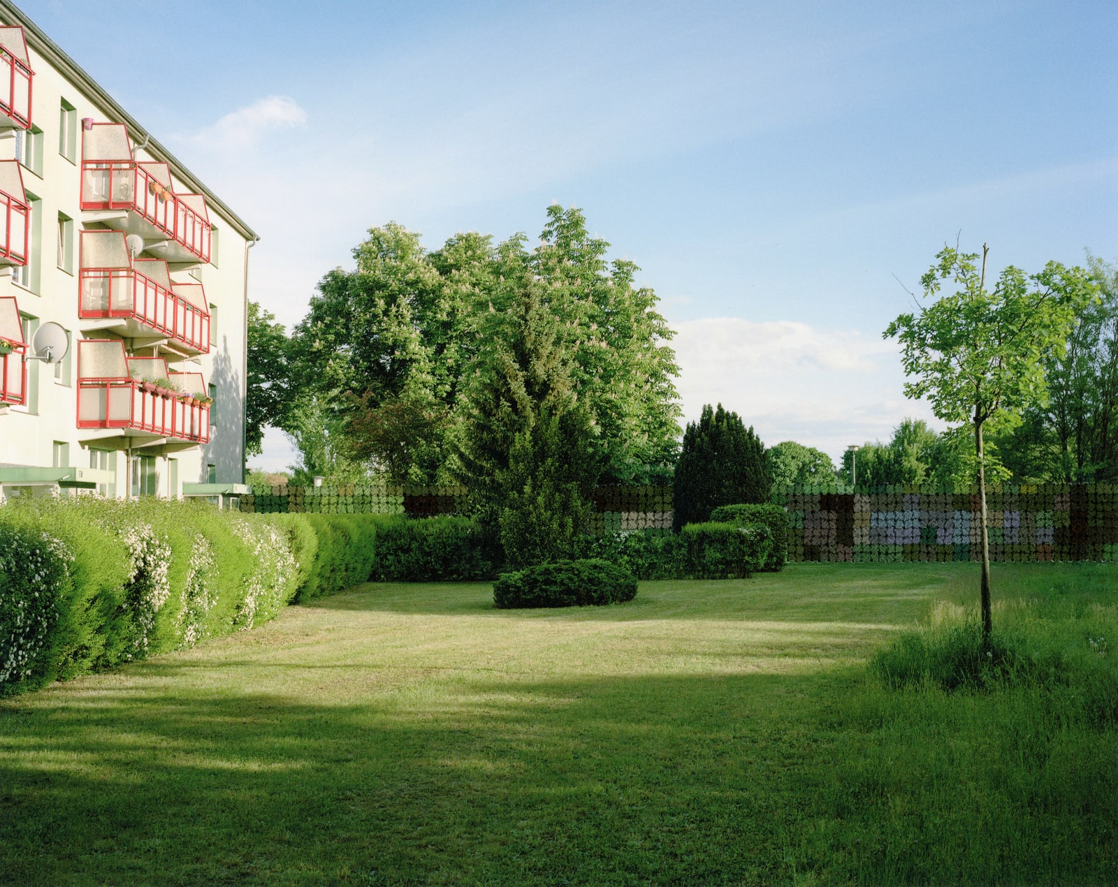 Diane Meyer, Housing Project, Planterwald, 2019