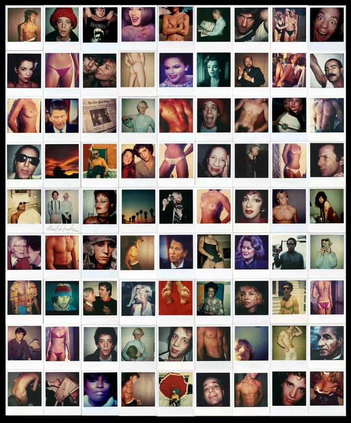 Christopher Makos, Portraits of an Era, Polaroid Collage #1 (81 Portraits), 1975-1984