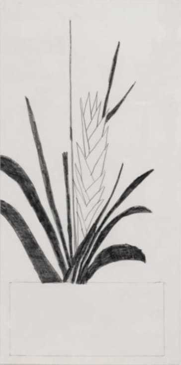 Jonas Wood, Large Bromeliad, 2011