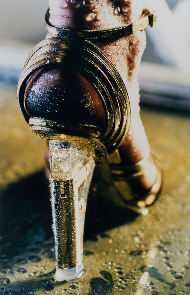 Marilyn Minter, Goldi, 2003