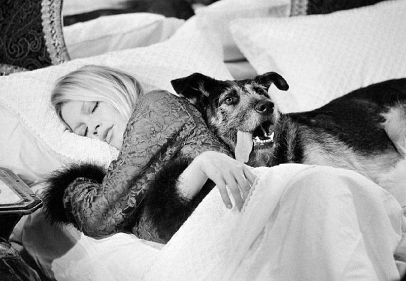 Terry O'Neil, Brigitte Bardot with Dog on the Set of 'Les Novices', 1970