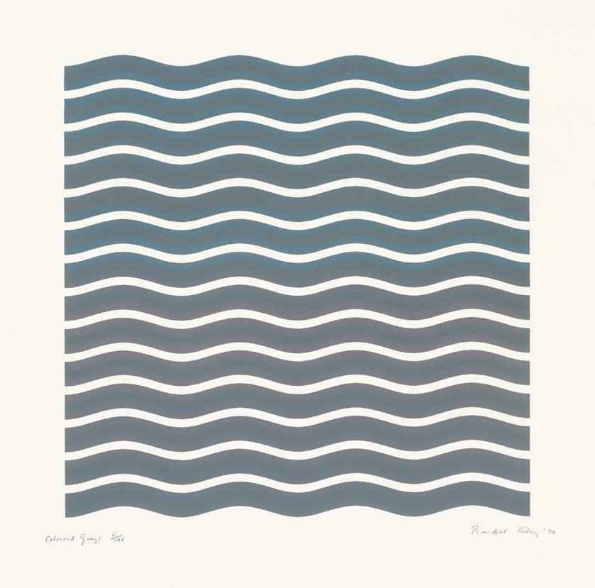 Bridget Riley, Coloured Greys 1, 1972