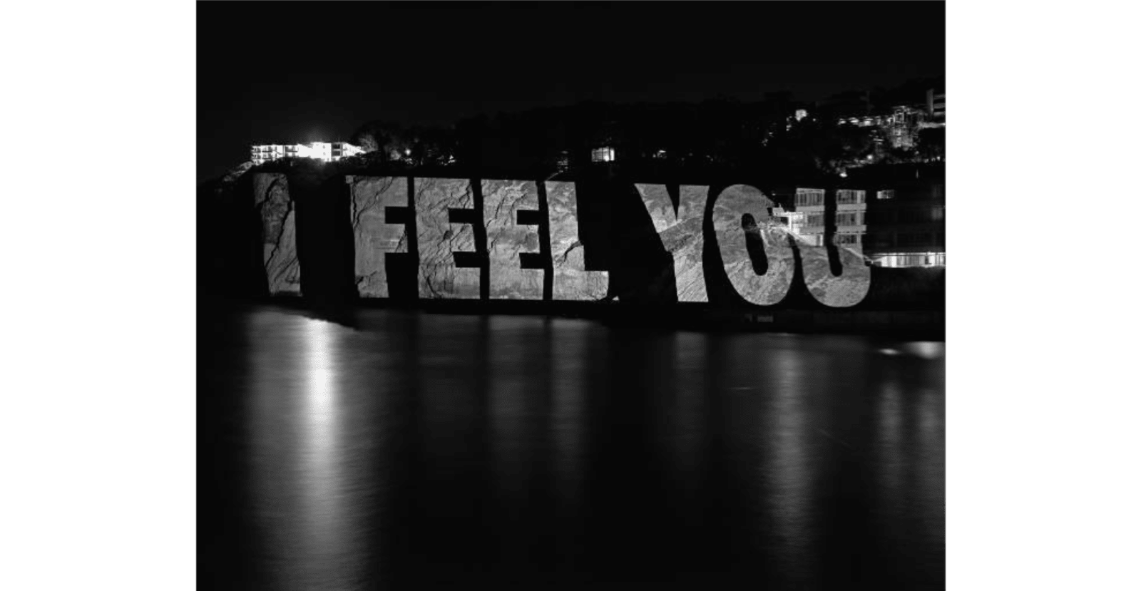 Jenny Holzer, You, 2008