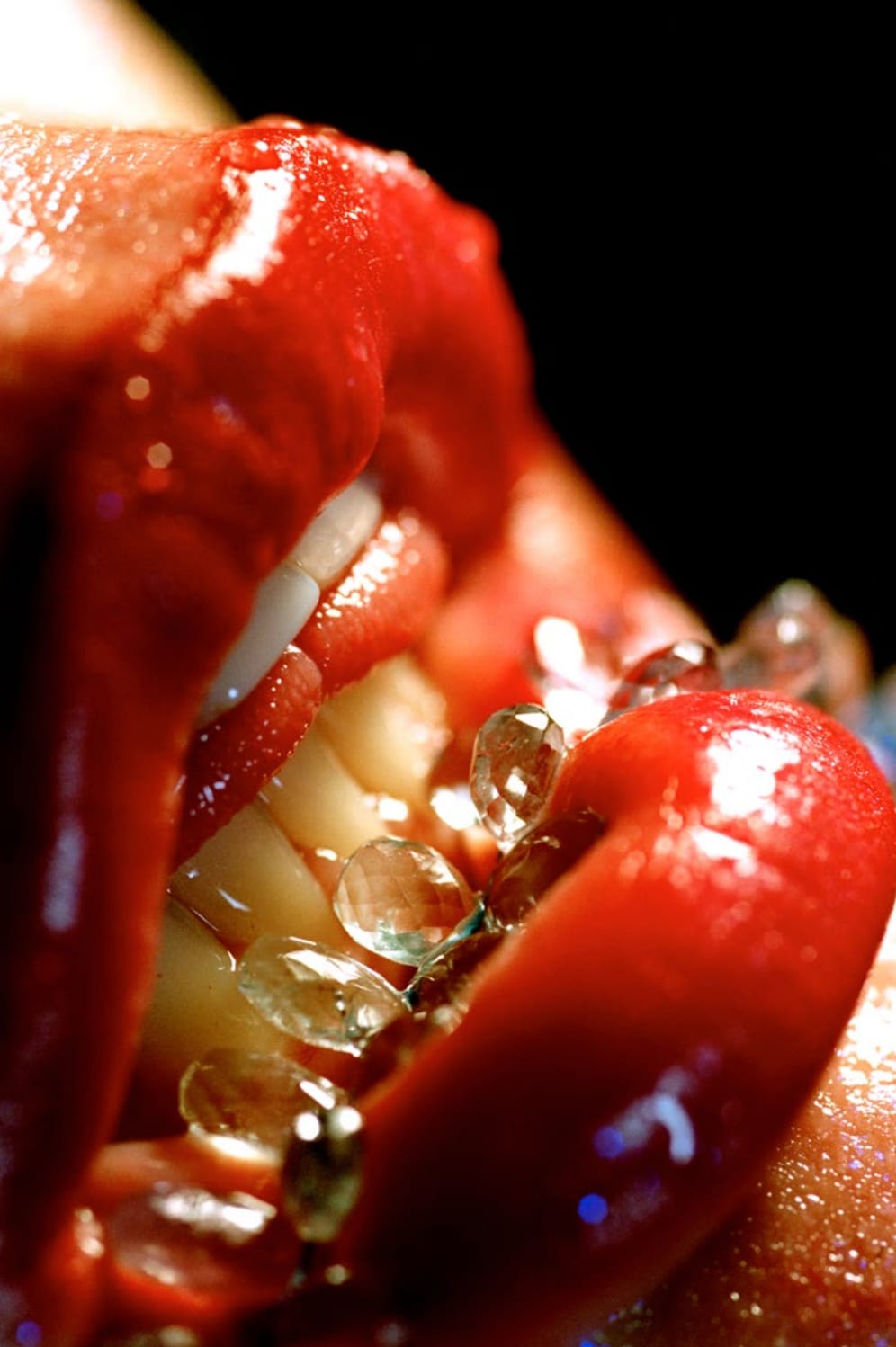 Marilyn Minter, Bridle, 2004
