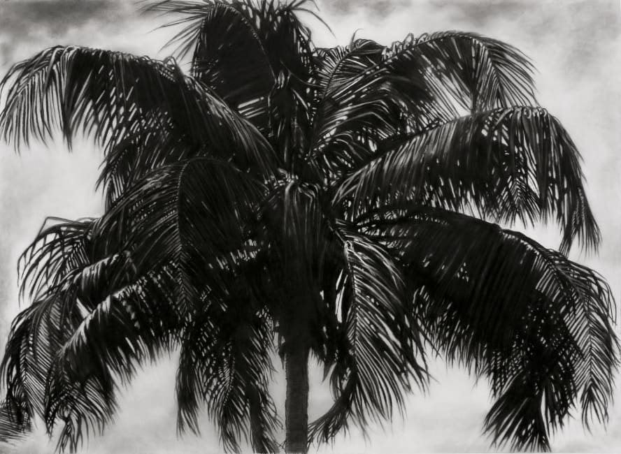 Robert Longo, Study Of P.R. Palm, 2019