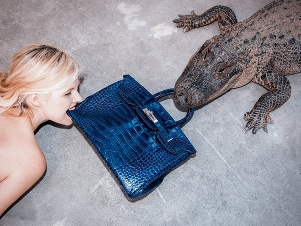 Tyler Shields, Gator Birkin, 2012