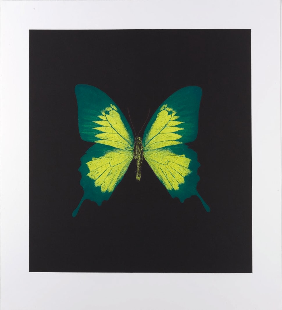 Damien Hirst, Memento 2, 2008