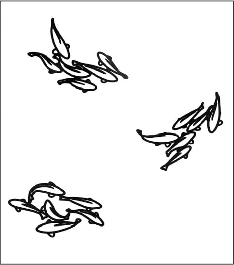 Julian Opie, Carp 2 , Carp 1 , Carp 3 , from Nature Set
